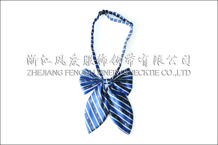 6564577_常州市保利大剧院仿丝领花.jpeg